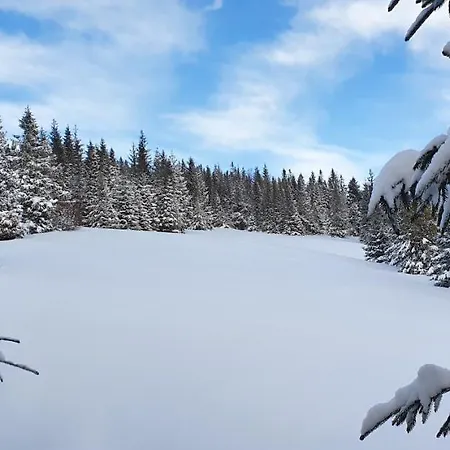 681 * Ždiar